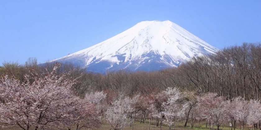 富士散策公園