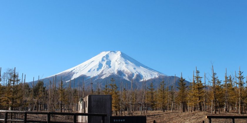 富士散步公園